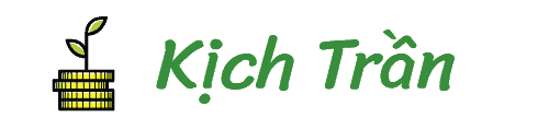 kich tran logo main
